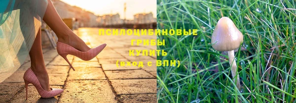 соль курить ск Вяземский