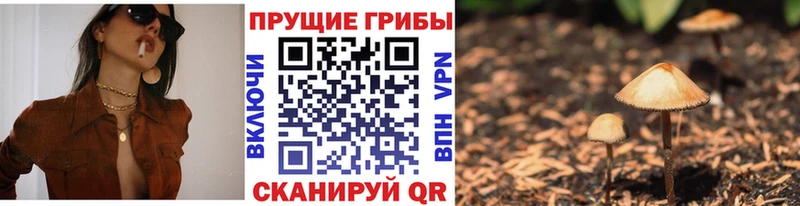 Галлюциногенные грибы Psilocybine cubensis  Обнинск 
