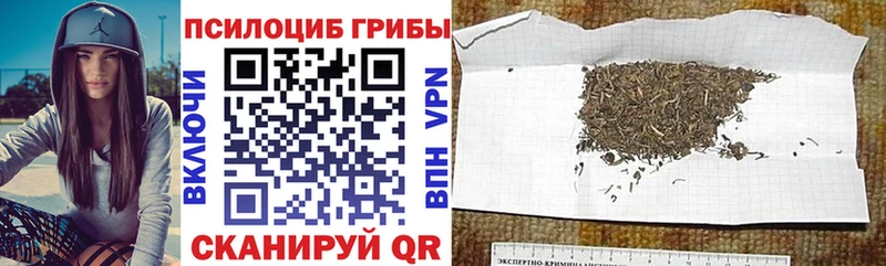 Галлюциногенные грибы Cubensis Обнинск